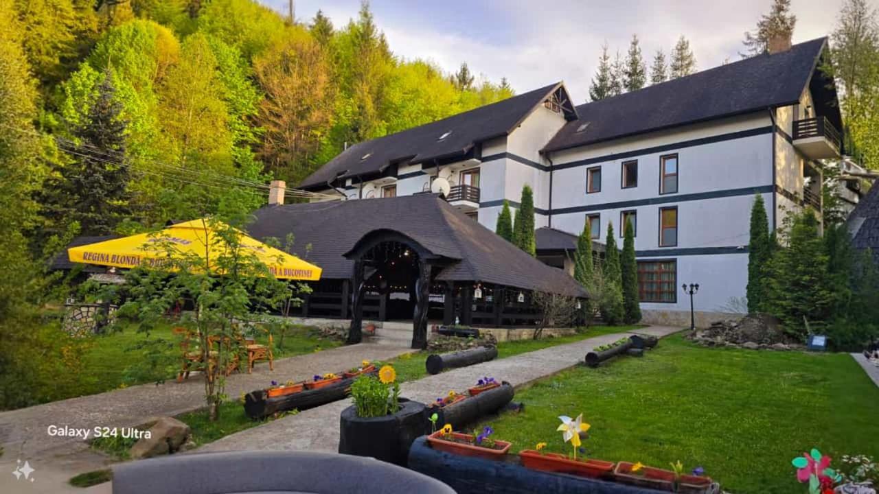 Отель Casa Octavian Сучевица Экстерьер фото